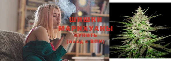 таблы Бородино