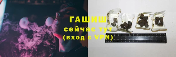 индика Верхний Тагил