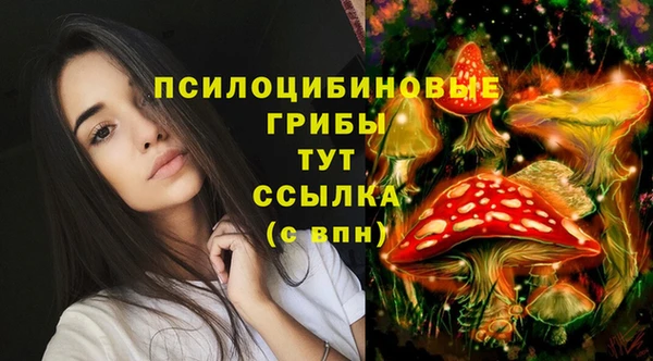 индика Верхний Тагил