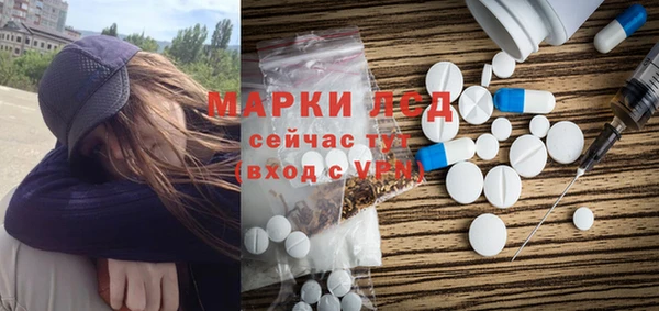 индика Верхний Тагил
