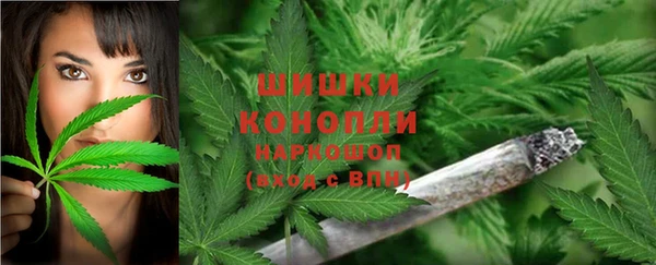 таблы Бородино