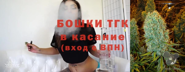 таблы Бородино