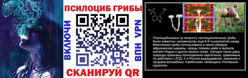 Галлюциногенные грибы Cubensis  магазин продажи   Дмитриев 